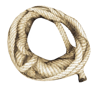 GGServers Minecraft Server Hosting The Forest Rope Plan